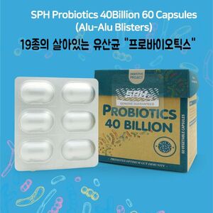 뉴질랜드 SHP 프로바이오틱스 장용성 19종 유산균 400억 CFU 60 베지캡슐